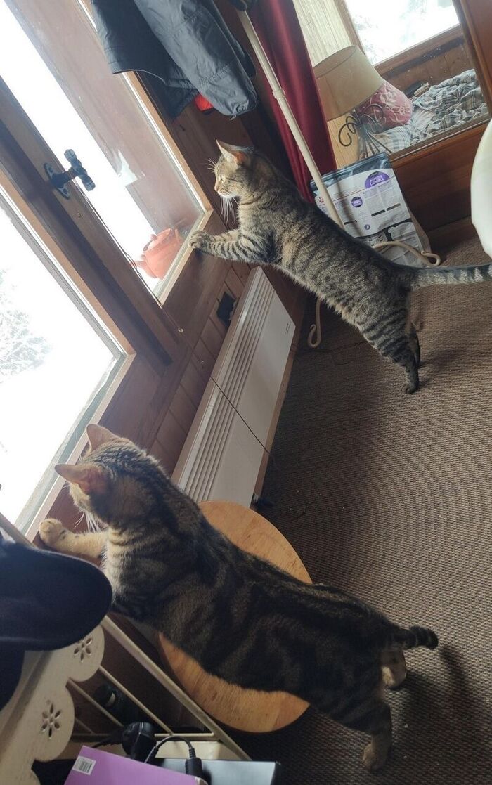 С добрым утром!