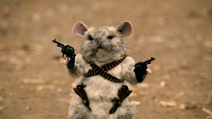 �������� �������(���������, ������, �����������)