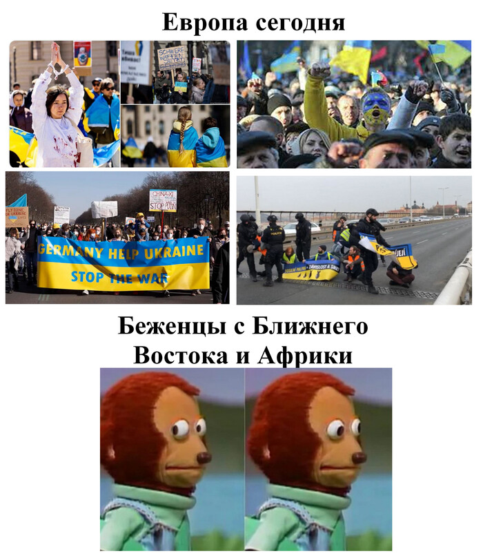 Держись Европа