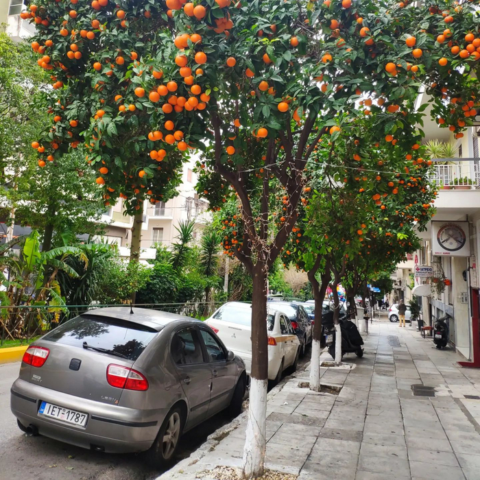Help finding this street in Athens/ , 