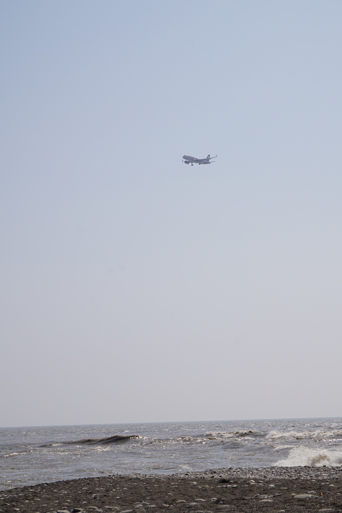       ... ,  , , Smartavia, Airbus, , 
