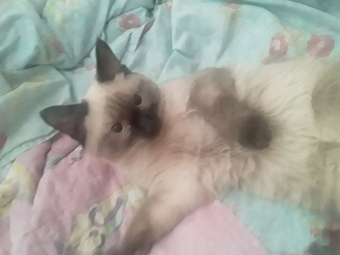 Встречаю юбилей 30 лет!