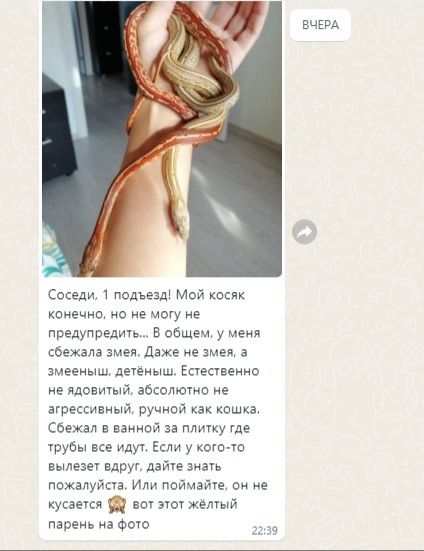 ��� ��������� ��������