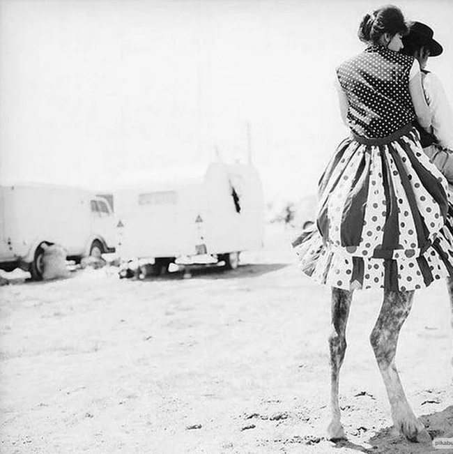 �������, �� �� ��� ������ ���� ������,  � ������ ������!