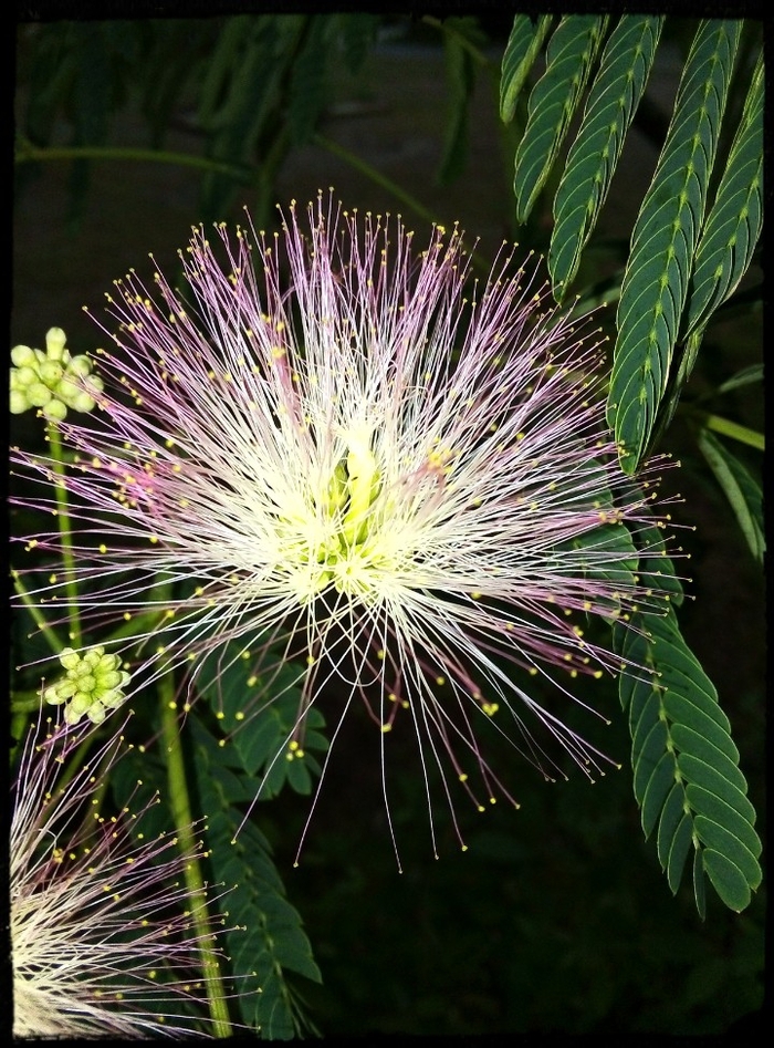 �������� ������������