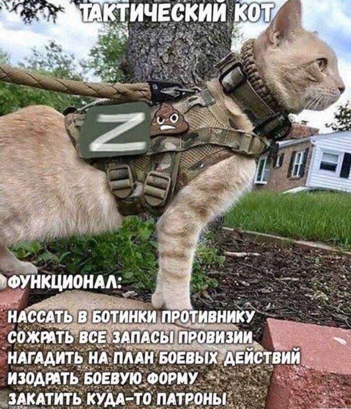   ,  ,   