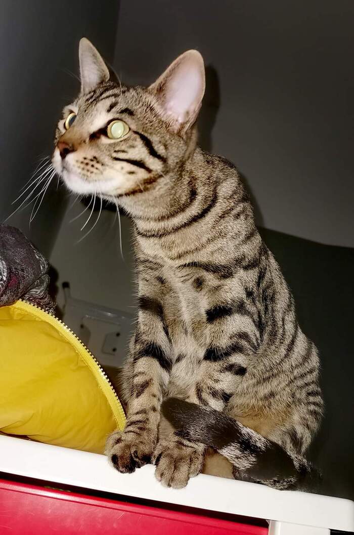    , , , 