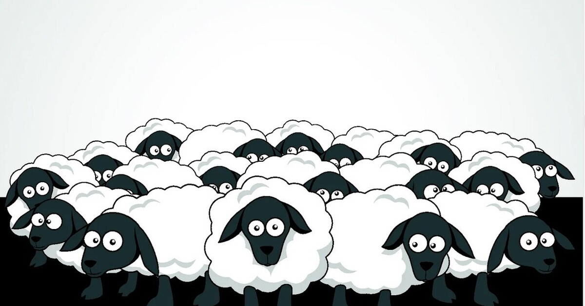 Стадо испуганно. Стадо испуганно. Стадо испуганно. Южнорусская овчарка пасет овец. Стадо животных.