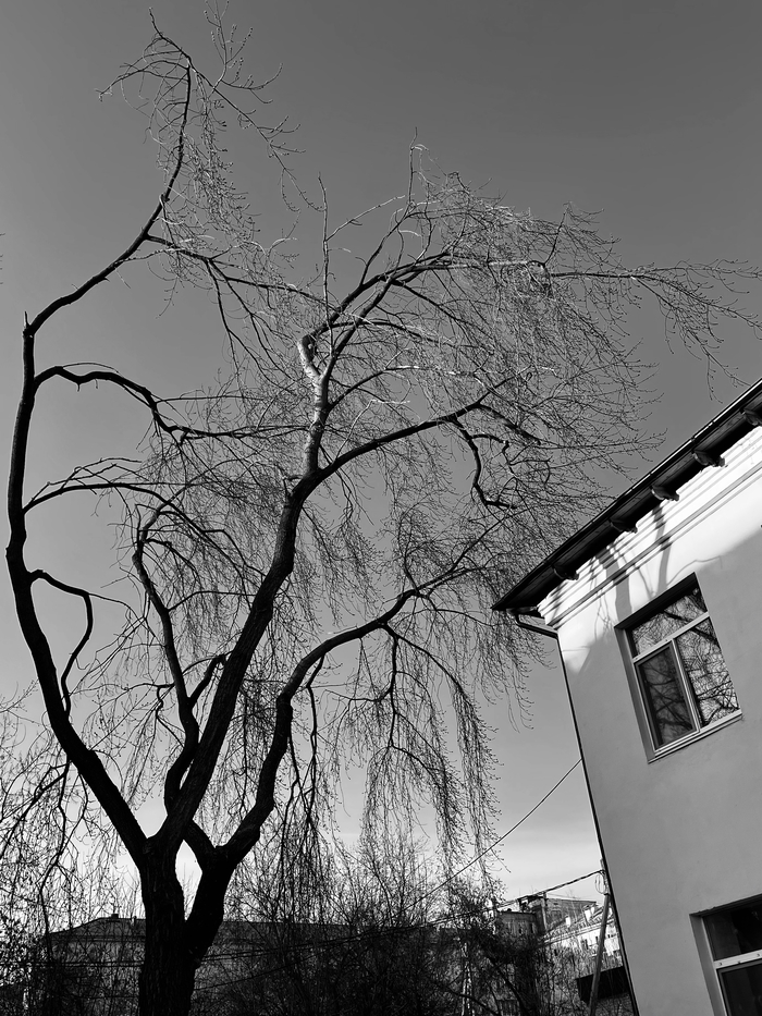 ���� ��� �������