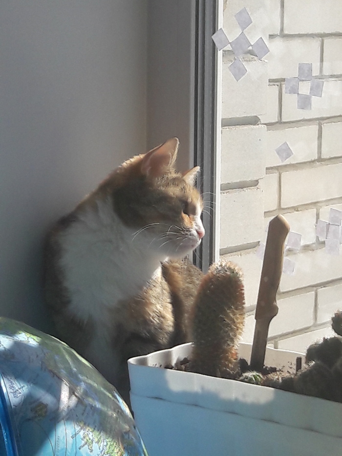 � ����� ������ ����� ))