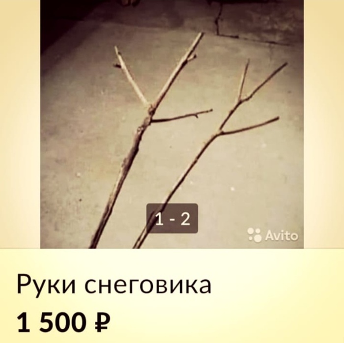 ���� ���������