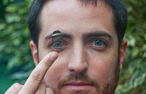 ����� �� ���� �������� ����� ��� (Greta oto)�