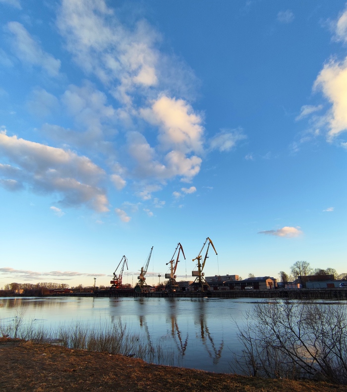 Вот и жирафы с юга прилетели