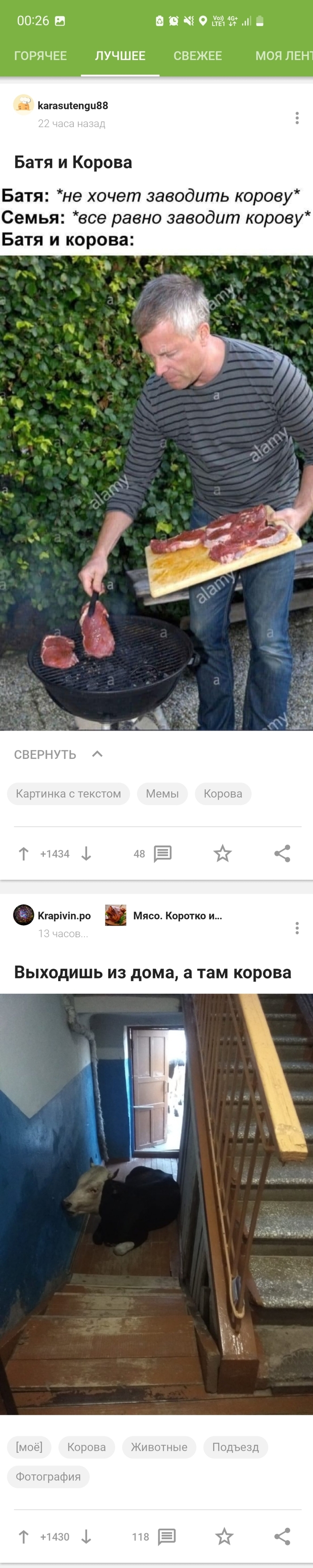    , , , , , ,  
