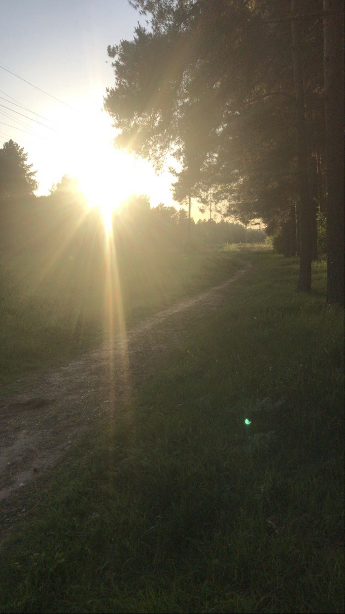 Солнышко перед закатом