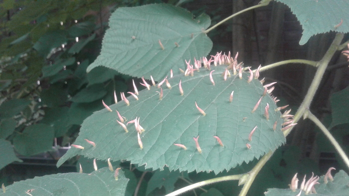 �������� ������