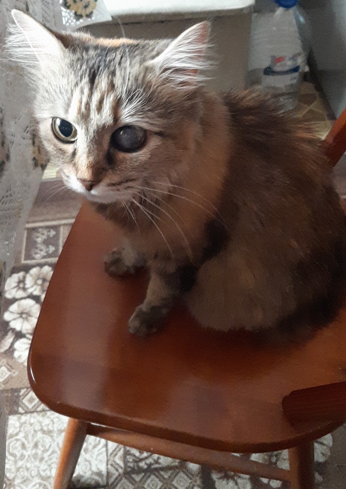 ��� ������� ����������...