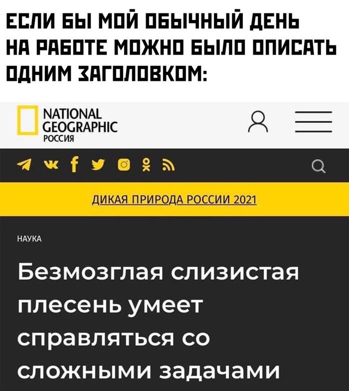 �� ���� �������