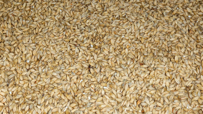       Citra. "CitraWheat".  1 , , ,  , , , 