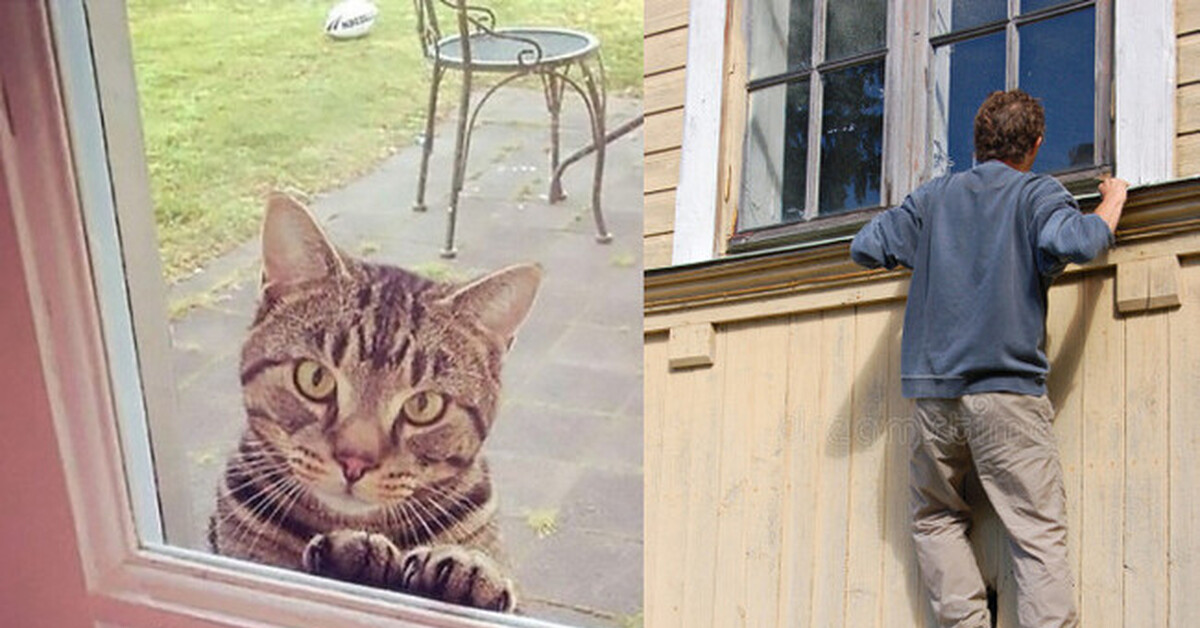 Сияние николсон с топором. Цитаты про окно. Его в дверь а он в окно. Улица из окна. Стучит в дверь.