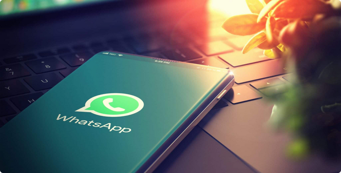          WhatsApp , ,  , WhatsApp, ,  , 