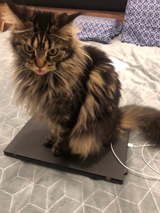 Сегодня не поработаешь