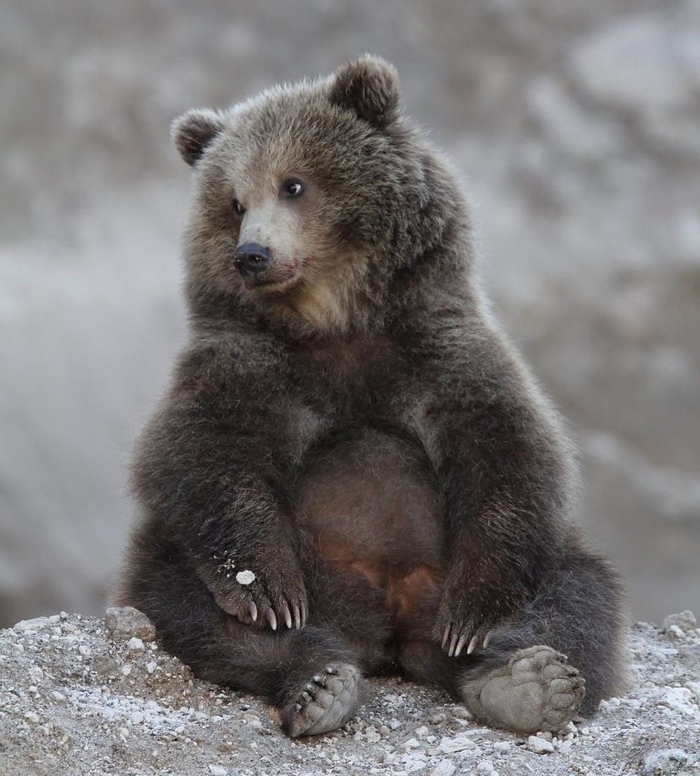 Милый малыш