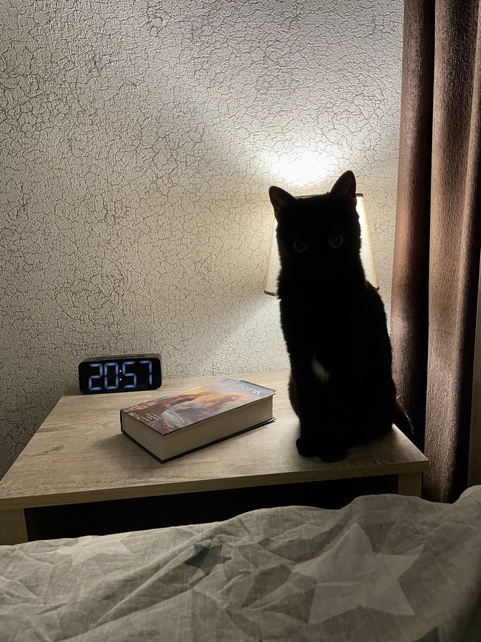 ��������� ��� ������ ��������