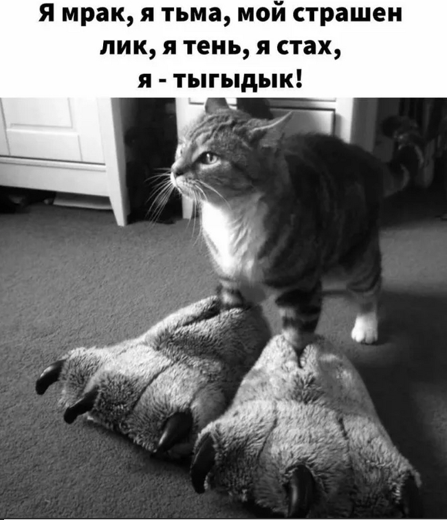 Посмеялся сам - поделись с другом!!!