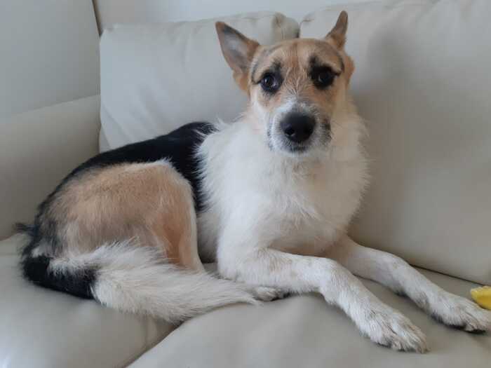 ���. ������� ���������, ���� ���. ����� ������, ����� ���������� � ������ �����