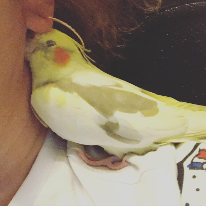 , , , , , , 