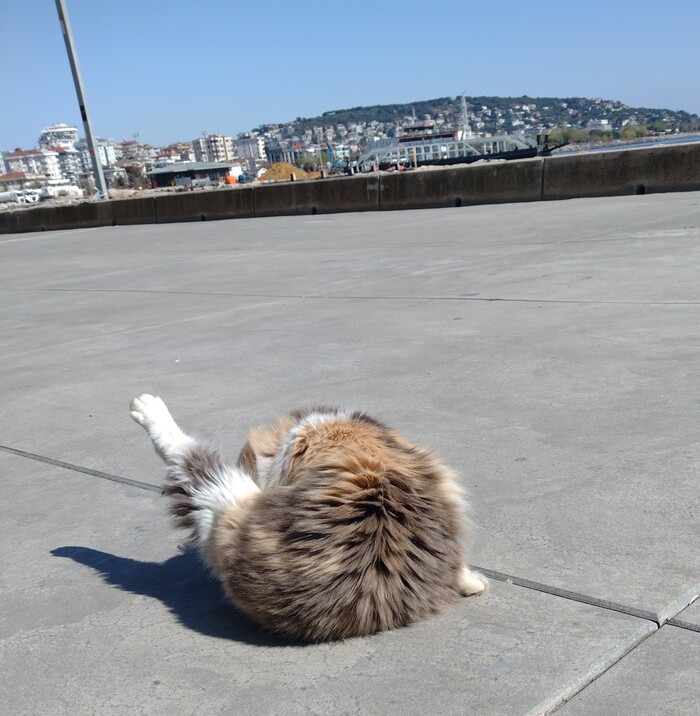 ��������