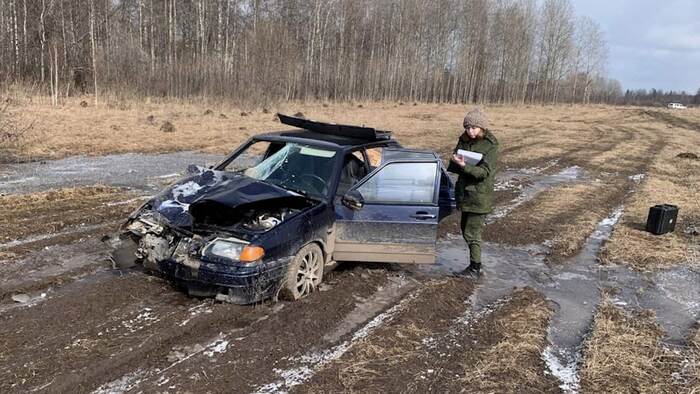 Насмерть ДТП, Негатив, Томская область, Текст, Нарушение ПДД, Копипаста