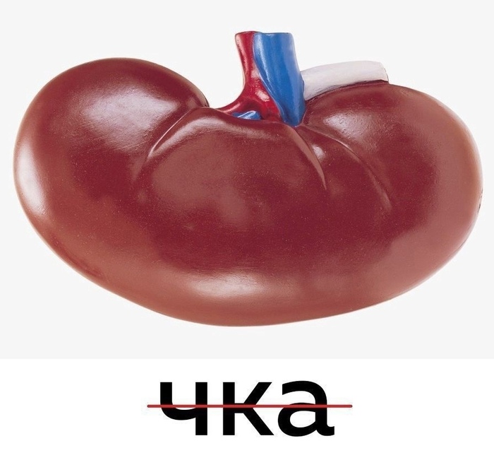  , , , 