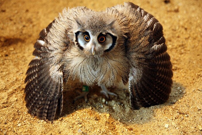 ��� �����? 0_�