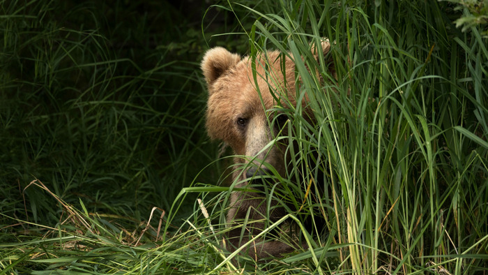 Ну как, прошёл запор?