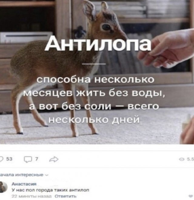   , ,   , , 