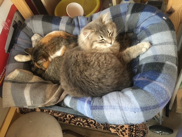 � ������� �� ��������!