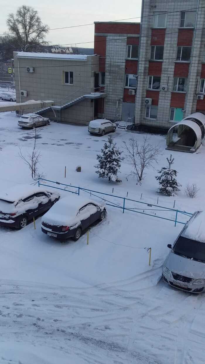 Прислали мне из Новосибирска