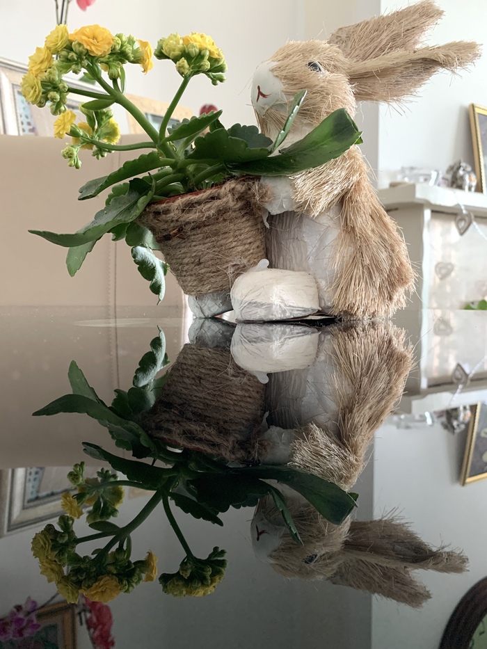 Пасхальный заяц