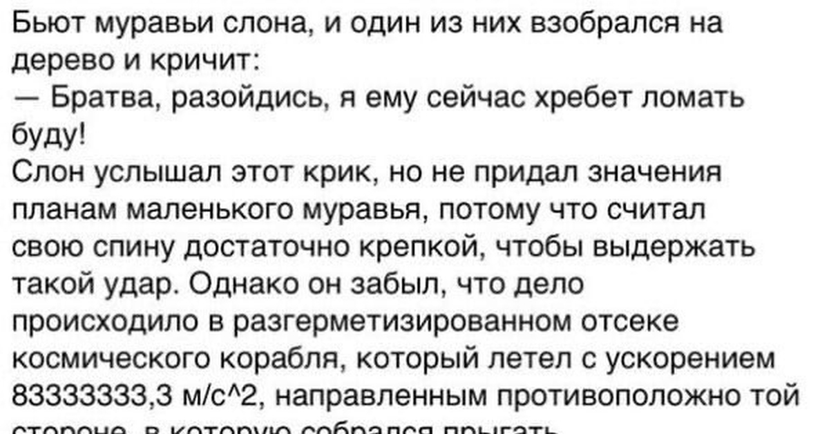 Как бить без синяков. Анекдот про слона и муравья. Анекдот про слона и муравьев в космосе. Бьют муравьи слона и один из них взобрался на дерево и кричит. Анекдот про муравьев и слона.