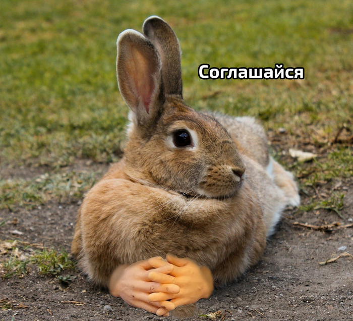   !      , ,  , , , , , , 