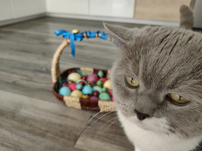 ��� ����.... ��� ������...