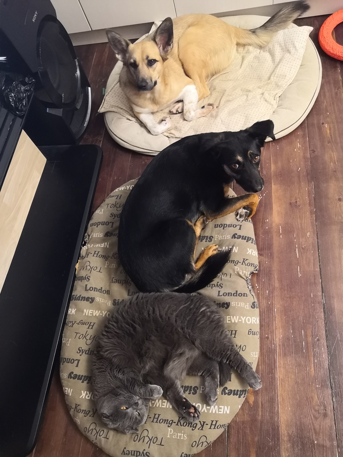 ��� ����� �������: "����, ����"