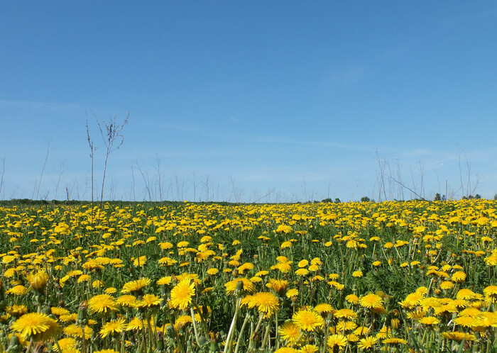 Уже скоро...