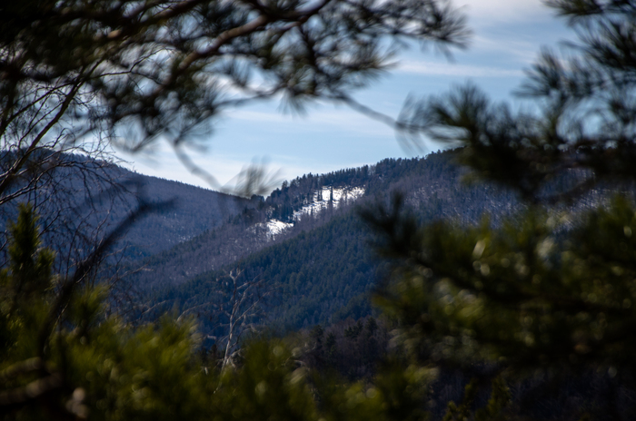 Лестница Красноярск, Красноярский край, Торгашинский хребет, Nikon, Хочу критики, Рекомендации, Природа, Горы, Длиннопост