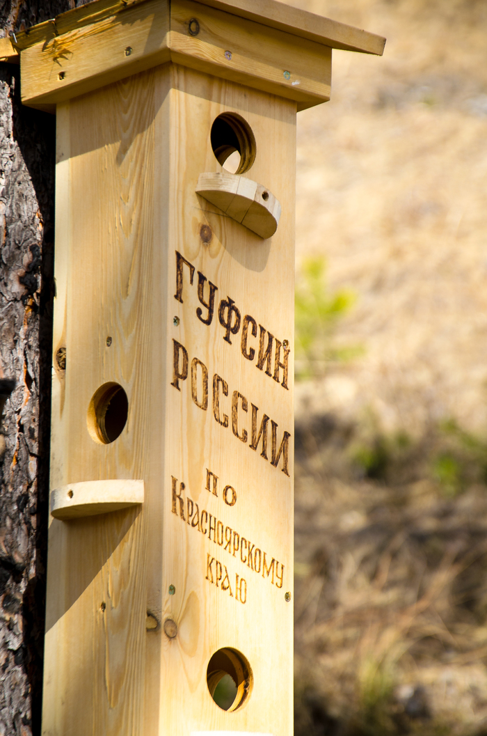 Лестница Красноярск, Красноярский край, Торгашинский хребет, Nikon, Хочу критики, Рекомендации, Природа, Горы, Длиннопост