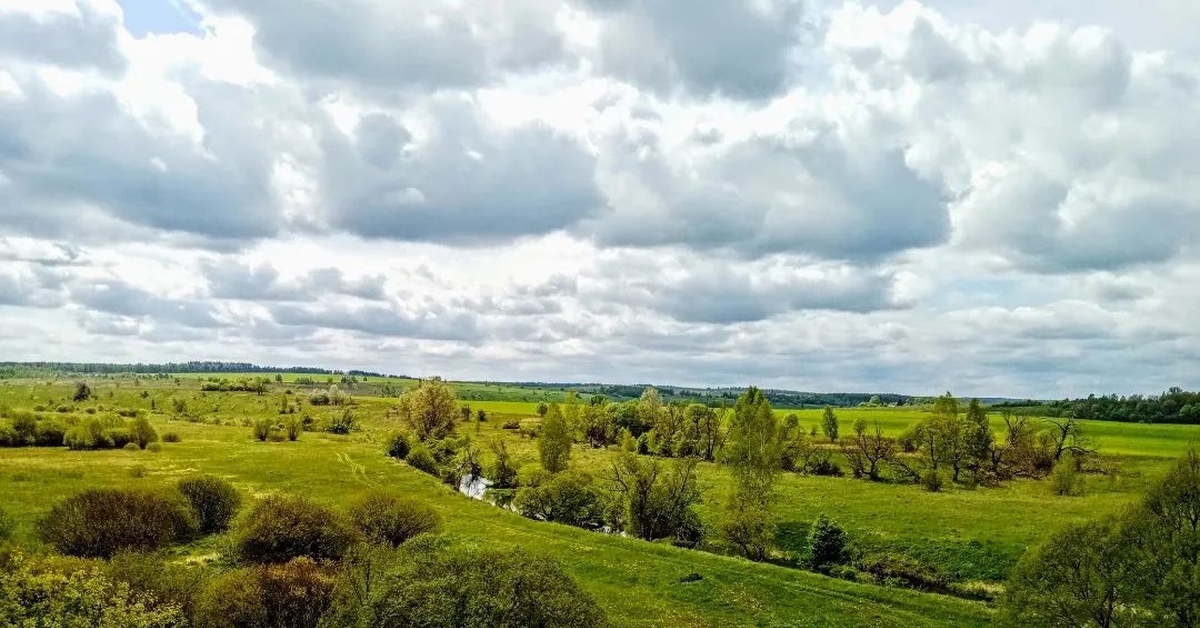 Бежин луг природа. Бежин луг Тульская область. Бежин луг фото. Бежин луг Тульская область фото.