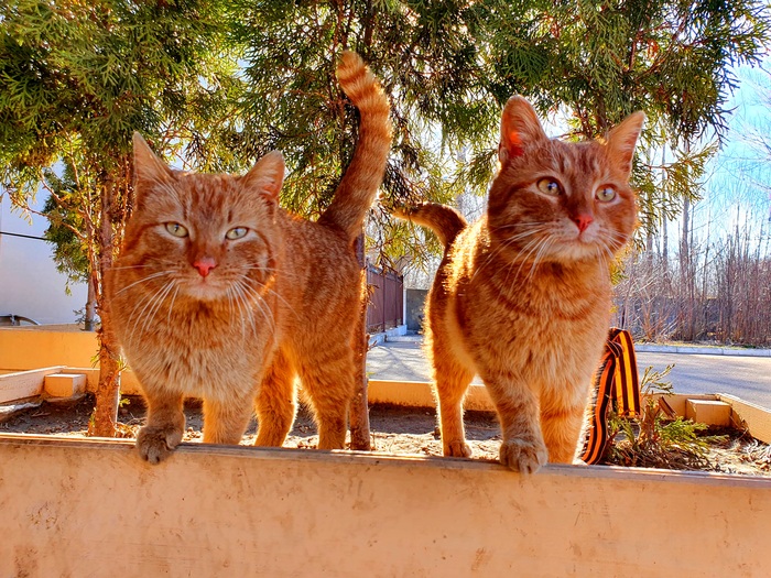 ��������� ������