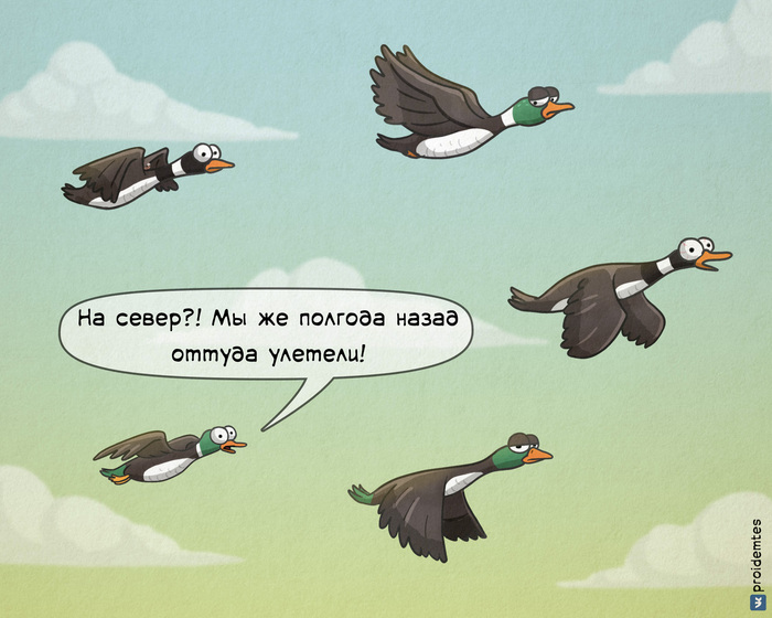  -?! Proidemtes, , , -, ,  ,   